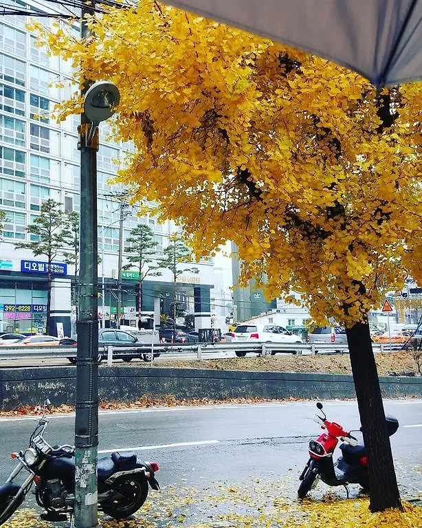 Hostel Feliz Guesthouse, Seoul Station
